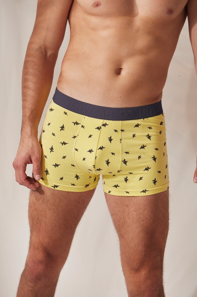 BOXER ALG Y LYCRA "RAYITOS" 
