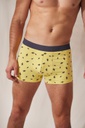 BOXER ALG Y LYCRA "RAYITOS" 