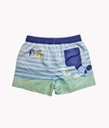 VER. SHORT DE BAÑO ESTAMPADO "BLUEY" PREMIUM