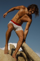 [XY1316] NUEVO - Bóxer algodón-lycra estampado "COCOS"