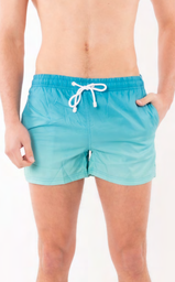[POS1729] VER. PREMIUM SHORT DE BAÑO LISO